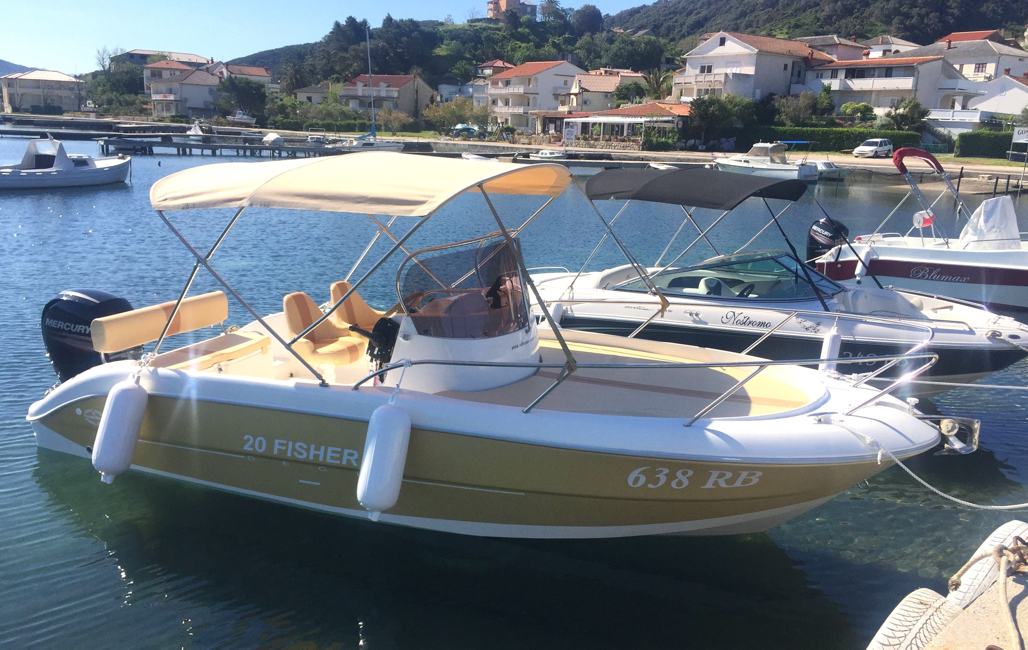 Fisher 20